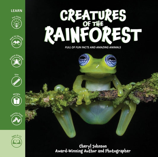 Creatures of the Rainforest