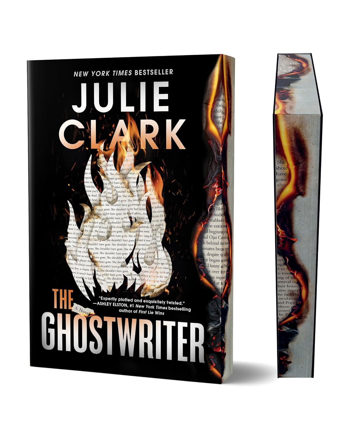 The Ghostwriter (Standard Edition)