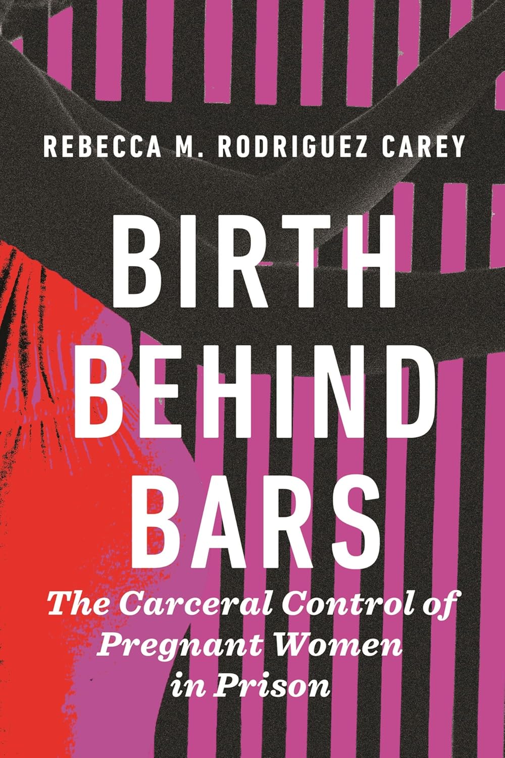 Birth Behind Bars The Carceral Control of Pregnant Women in Prison