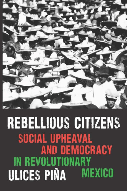 Rebellious Citizens: Social Upheaval and Democracy in Revolutionary Mexico