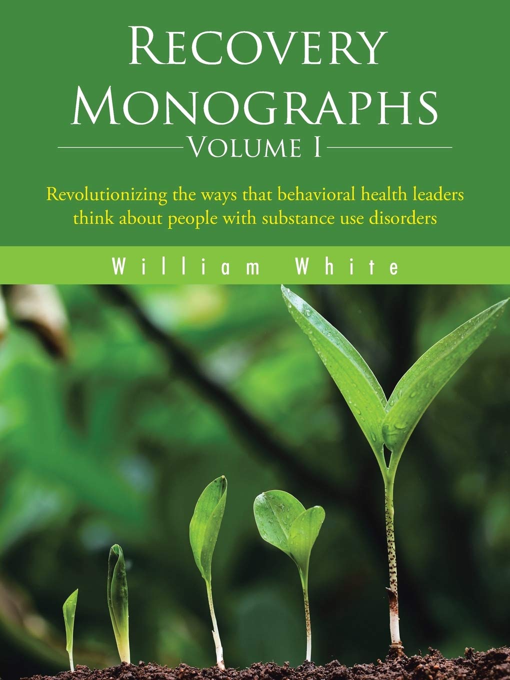 Recovery Monographs Volume I: Revolutionizing the ways that behavioral health leaders think about people with substance use disorders