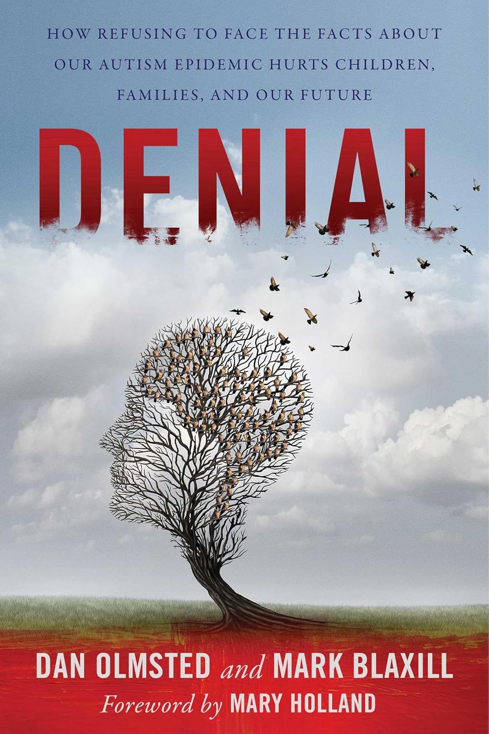 Denial: How Refusing to Face the Facts about Our Autism Epidemic Hurts Children, Families, and Our Future