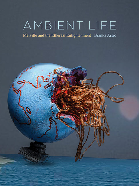 Ambient Life: Melville and the Ethereal Enlightenment