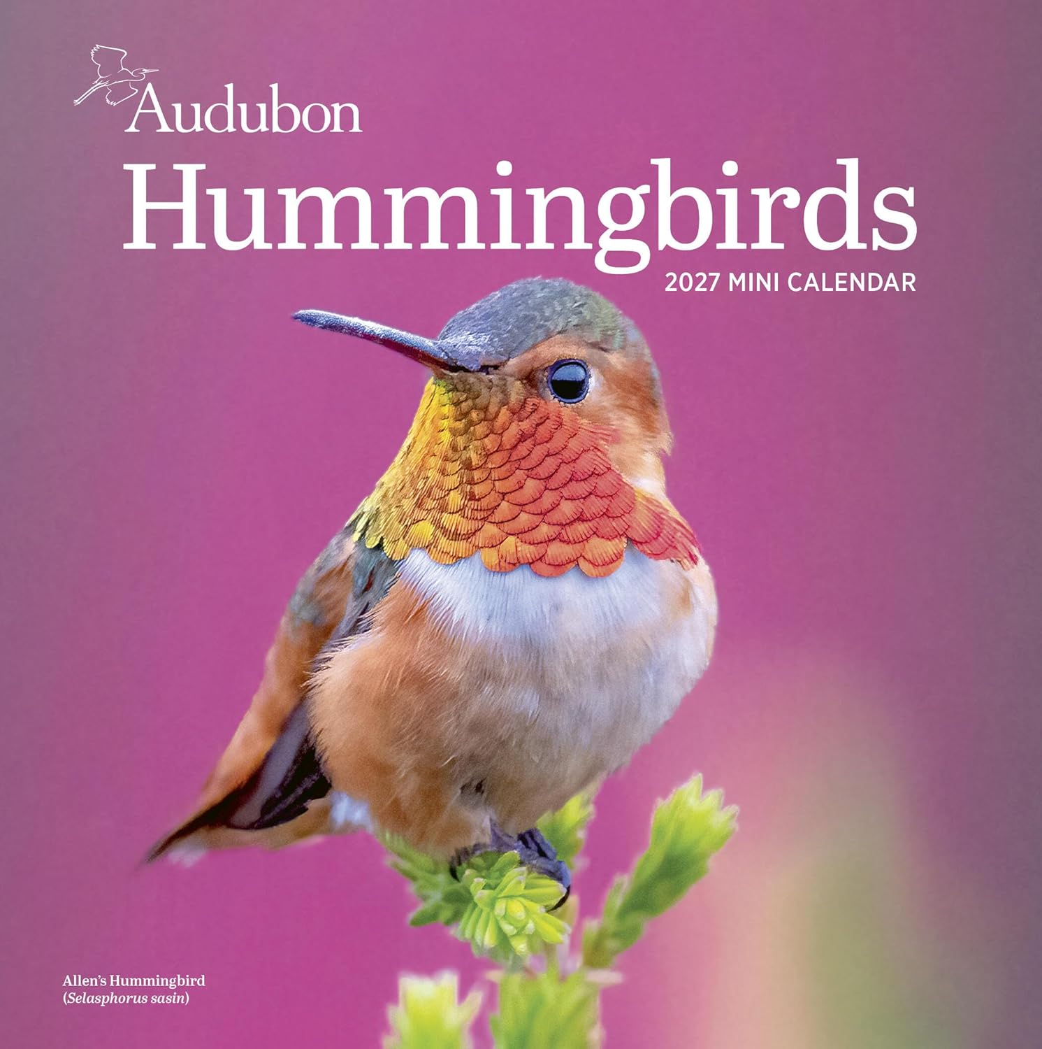 Audubon Hummingbirds Mini Wall Calendar 2027