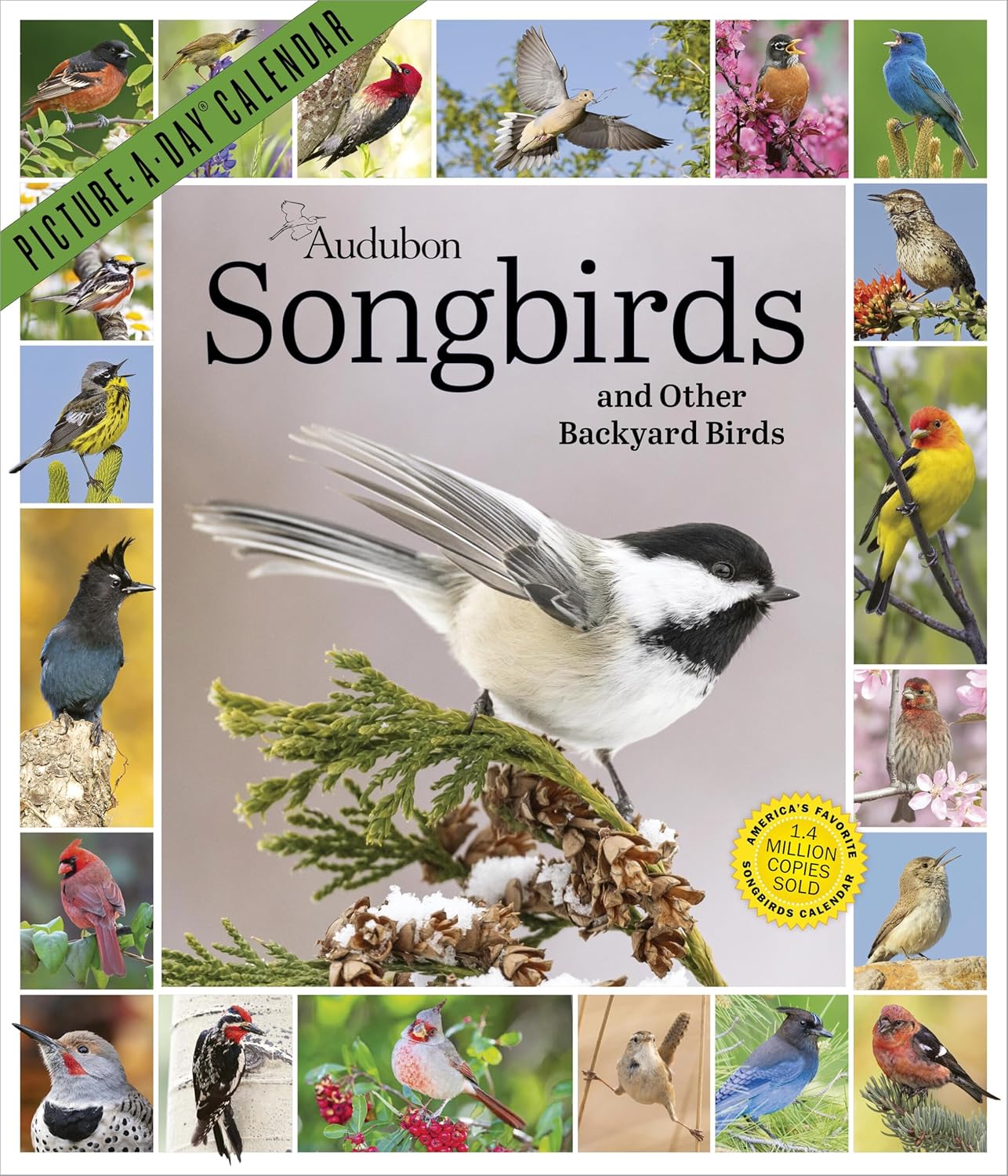 Audubon Songbirds and Other Backyard Birds Picture-A-Day(r) Wall Calendar 2027