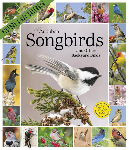 Audubon Songbirds and Other Backyard Birds Picture-A-Day(r) Wall Calendar 2027