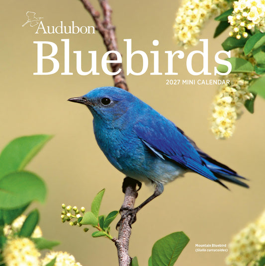 Audubon Bluebirds Mini Wall Calendar 2027