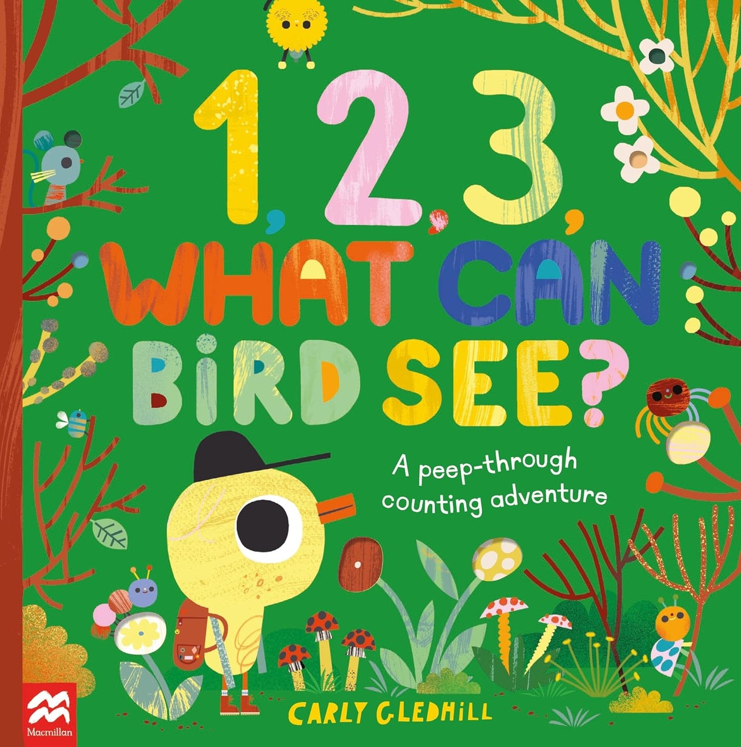 1, 2, 3, What Can Bird See?: A Peek-Through Counting Adventure