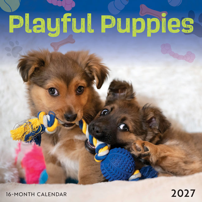 Playful Puppies 2027 Mini Wall Calendar