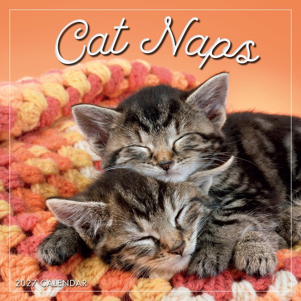 Cat Naps