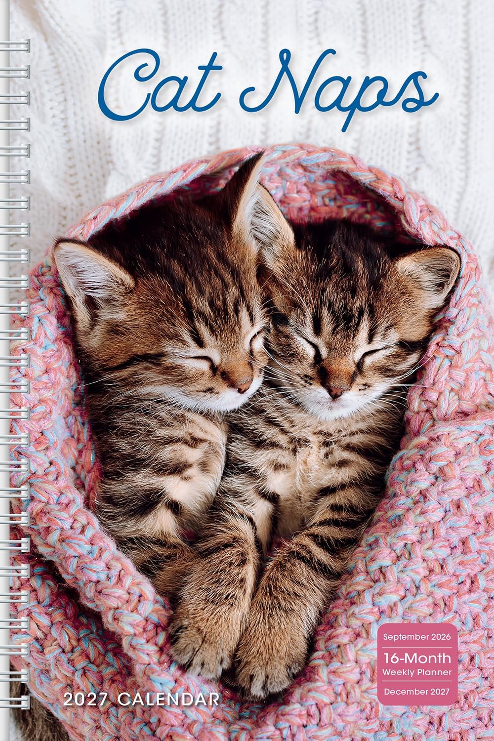 Cat Naps