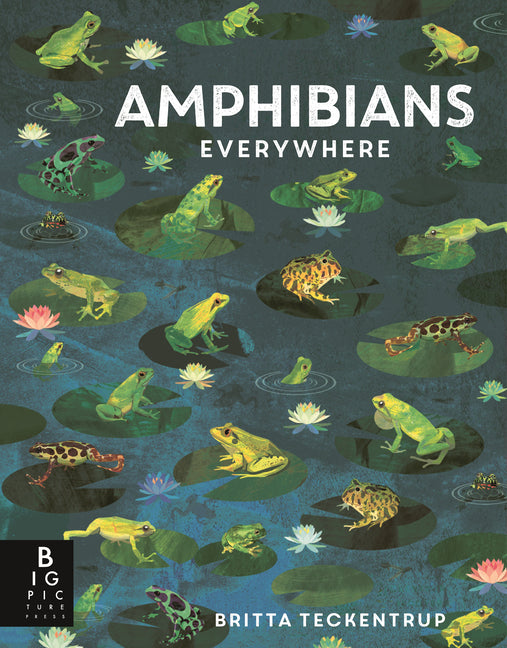 Amphibians Everywhere