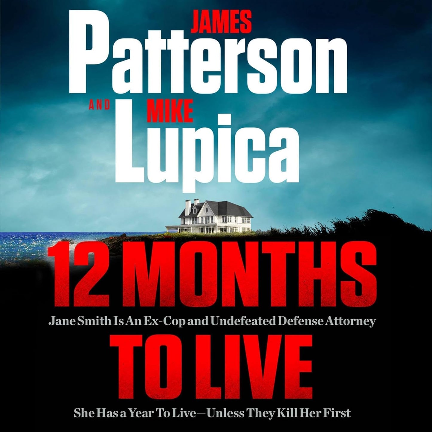 12 Months to Live: A Jane Smith Thriller