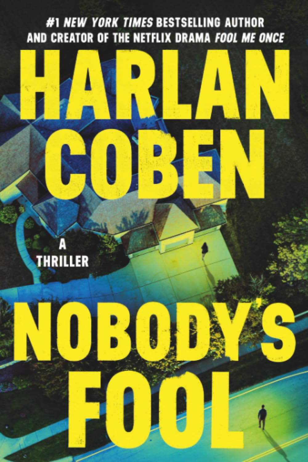 Nobody's Fool (International)