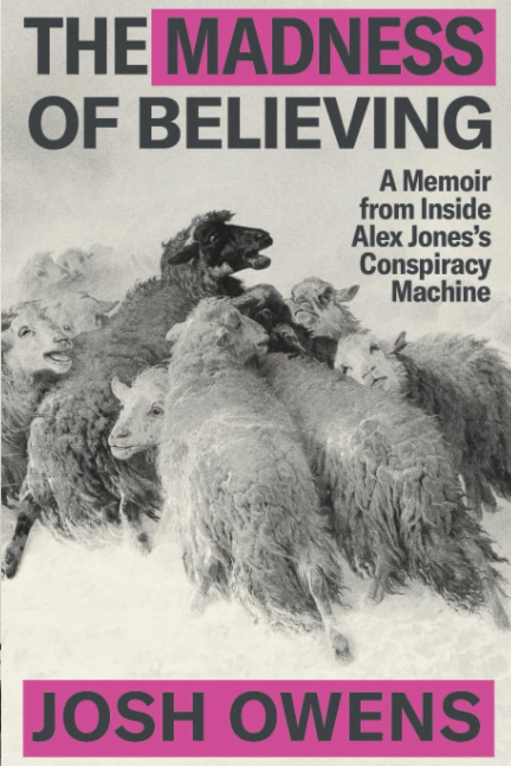 The Madness of Believing: A Memoir from Inside Alex Jones's Conspiracy Machine