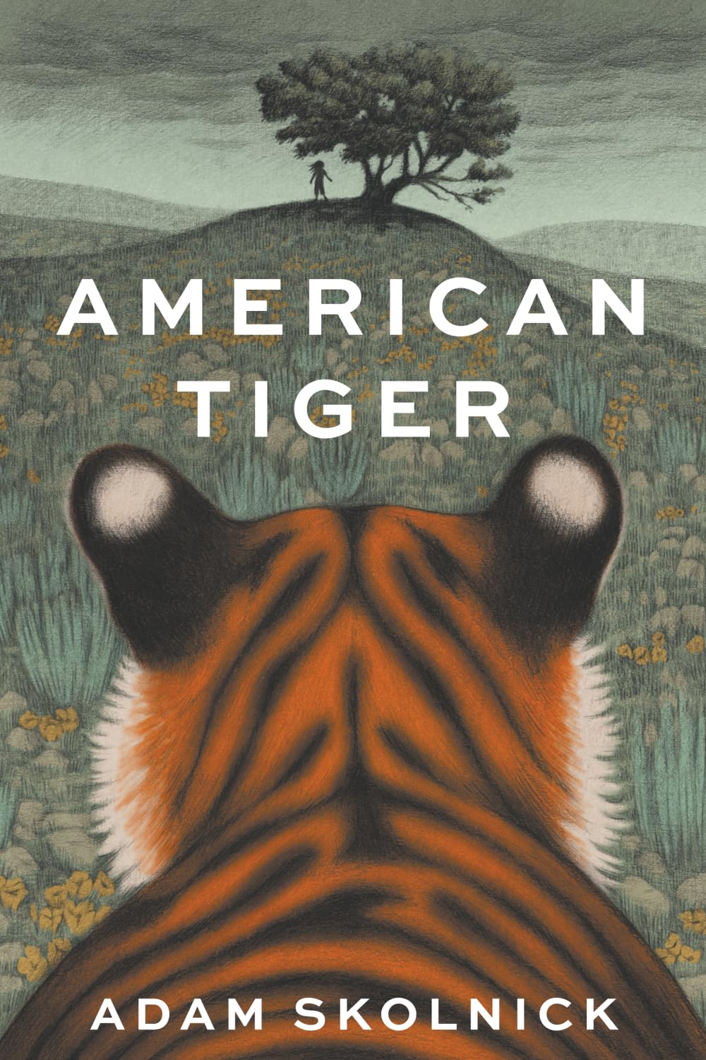 American Tiger