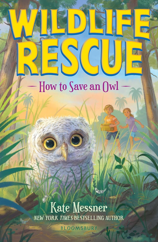 How to Save an Owl