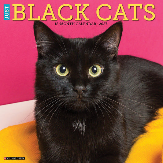Black Cats 2027 12 X 12 Wall Calendar