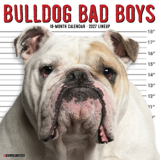 Bulldog Bad Boys 2027 12 X 12 Wall Calendar