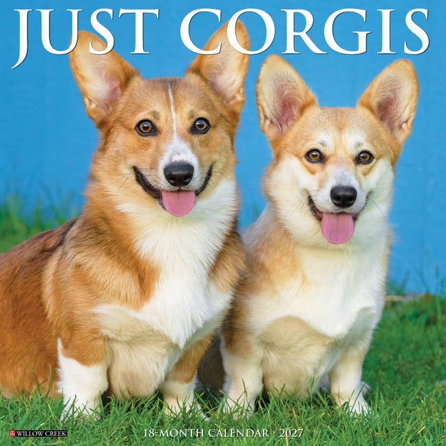 Corgis 2027 12 X 12 Wall Calendar