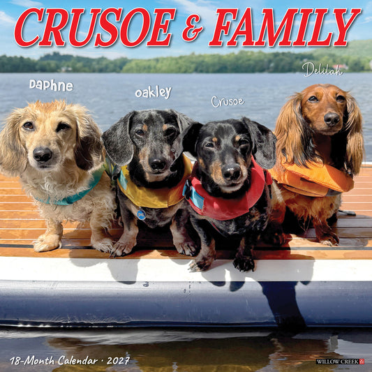 Crusoe the Celebrity Dachshund 2027 12 X 12 Wall Calendar