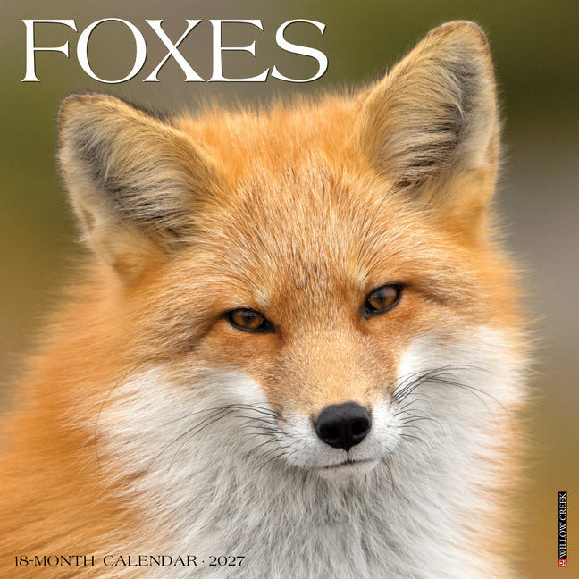 Foxes 2027 12 X 12 Wall Calendar