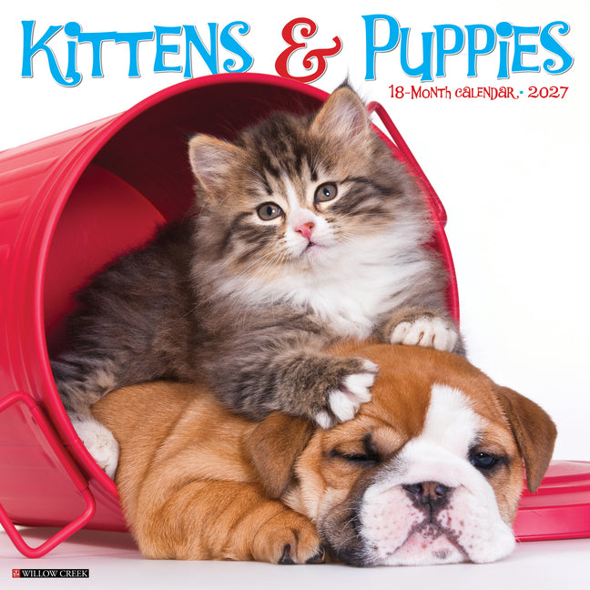 Kittens & Puppies 2027 12 X 12 Wall Calendar