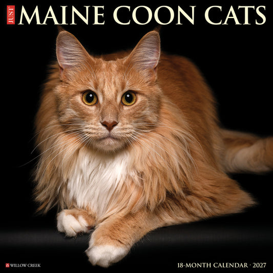 Maine Coon Cats 2027 12 X 12 Wall Calendar