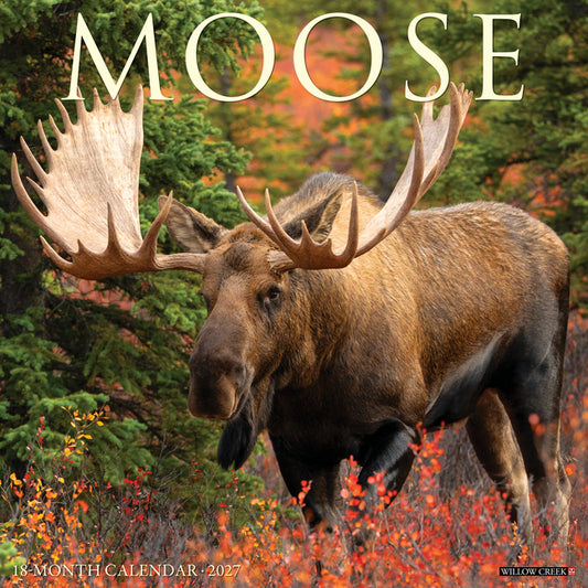 Moose 2027 12 X 12 Wall Calendar