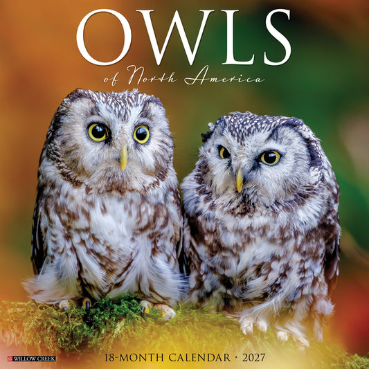 Owls 2027 12 X 12 Wall Calendar