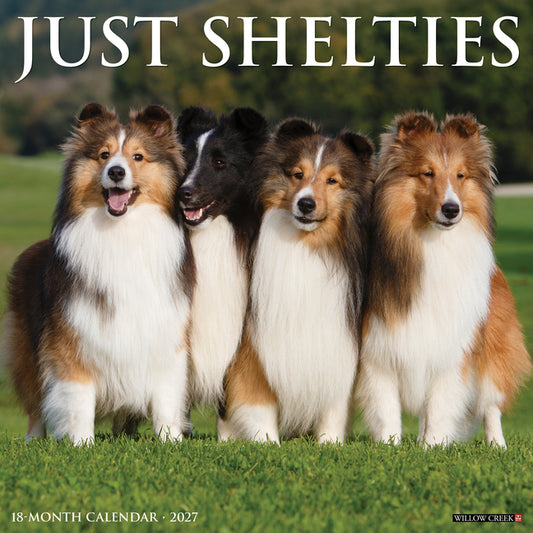 Shelties 2027 12 X 12 Wall Calendar