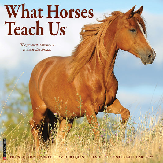 What Horses Teach Us 2027 12 X 12 Wall Calendar