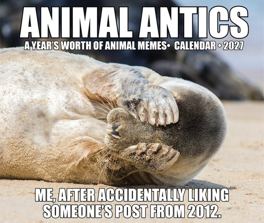 Animal Antics 2027 5.4 X 6.2 Box Calendar