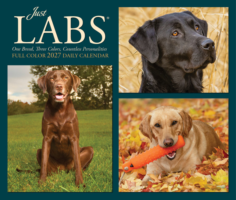 Just Labs 2027 5.4 X 6.2 Box Calendar