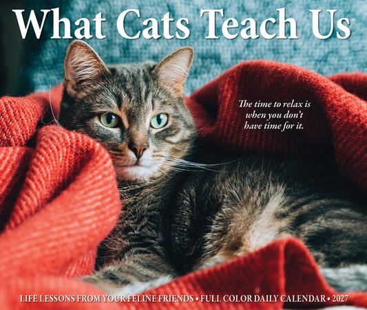 What Cats Teach Us 2027 5.4 X 6.2 Box Calendar