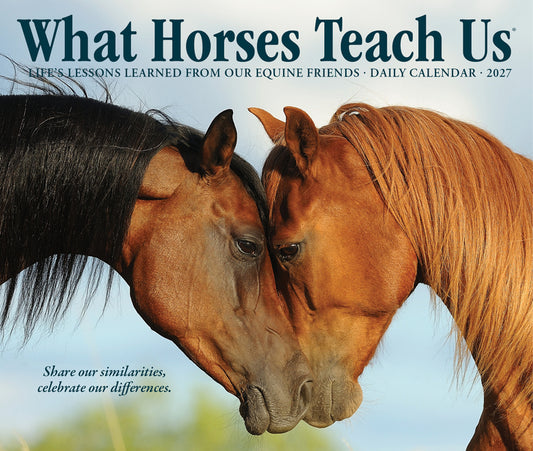 What Horses Teach Us 2027 5.4 X 6.2 Box Calendar