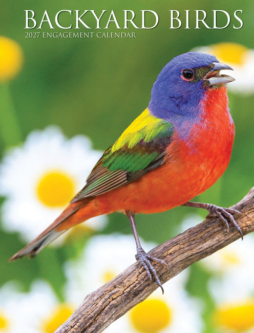 Backyard Birds 2027 6.5 X 8.5 Engagement Calendar