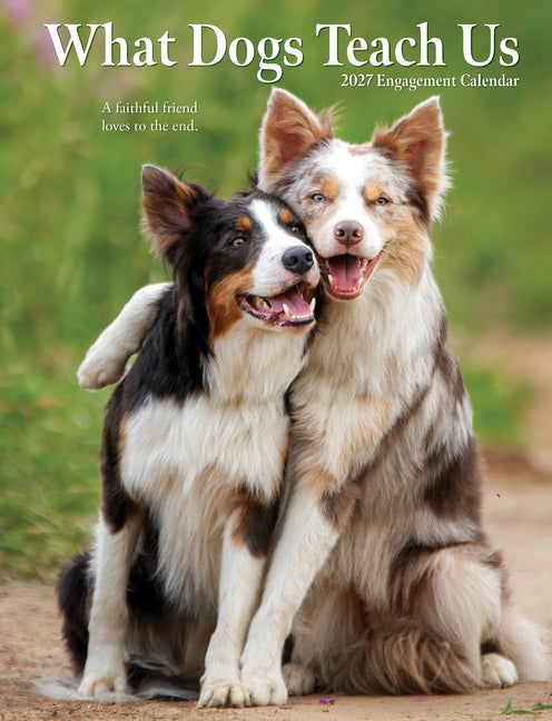 What Dogs Teach Us 2027 6.5 X 8.5 Engagement Calendar