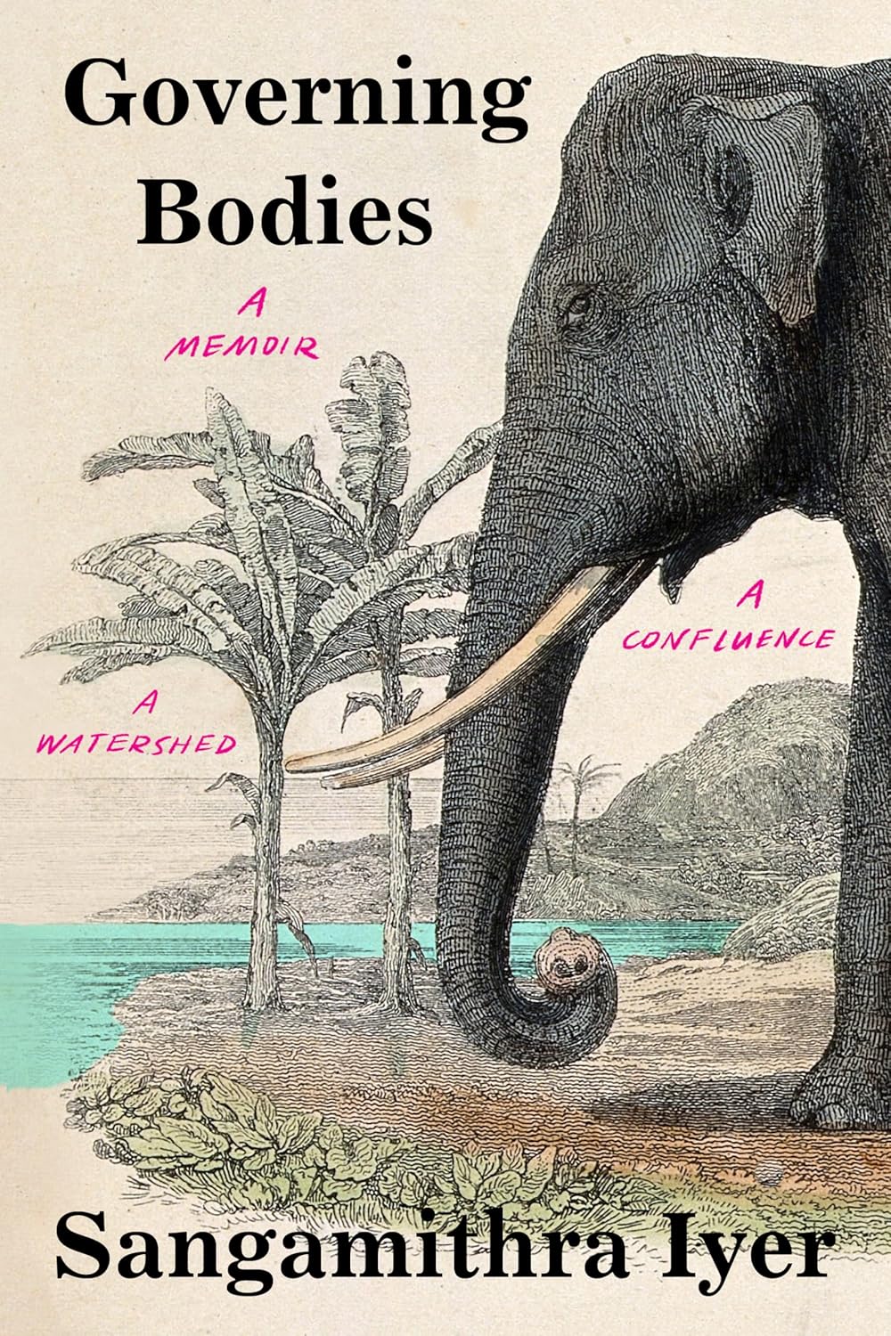 Governing Bodies: A Memoir, a Confluence, a Watershed