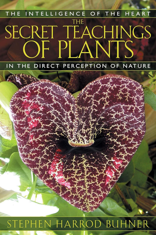 The Secret Teachings of Plants: The Intelligence of the Heart in the Direct Perception of Nature (Original)