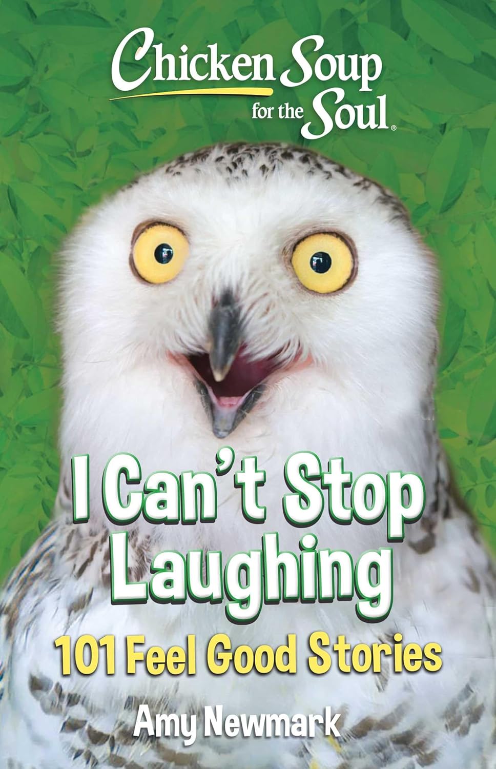 Chicken Soup for the Soul: I Can't Stop Laughing: 101 Feel-Good Stories