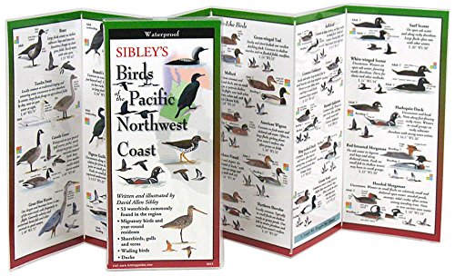 Sibley's Birds of Pacific NW Coast