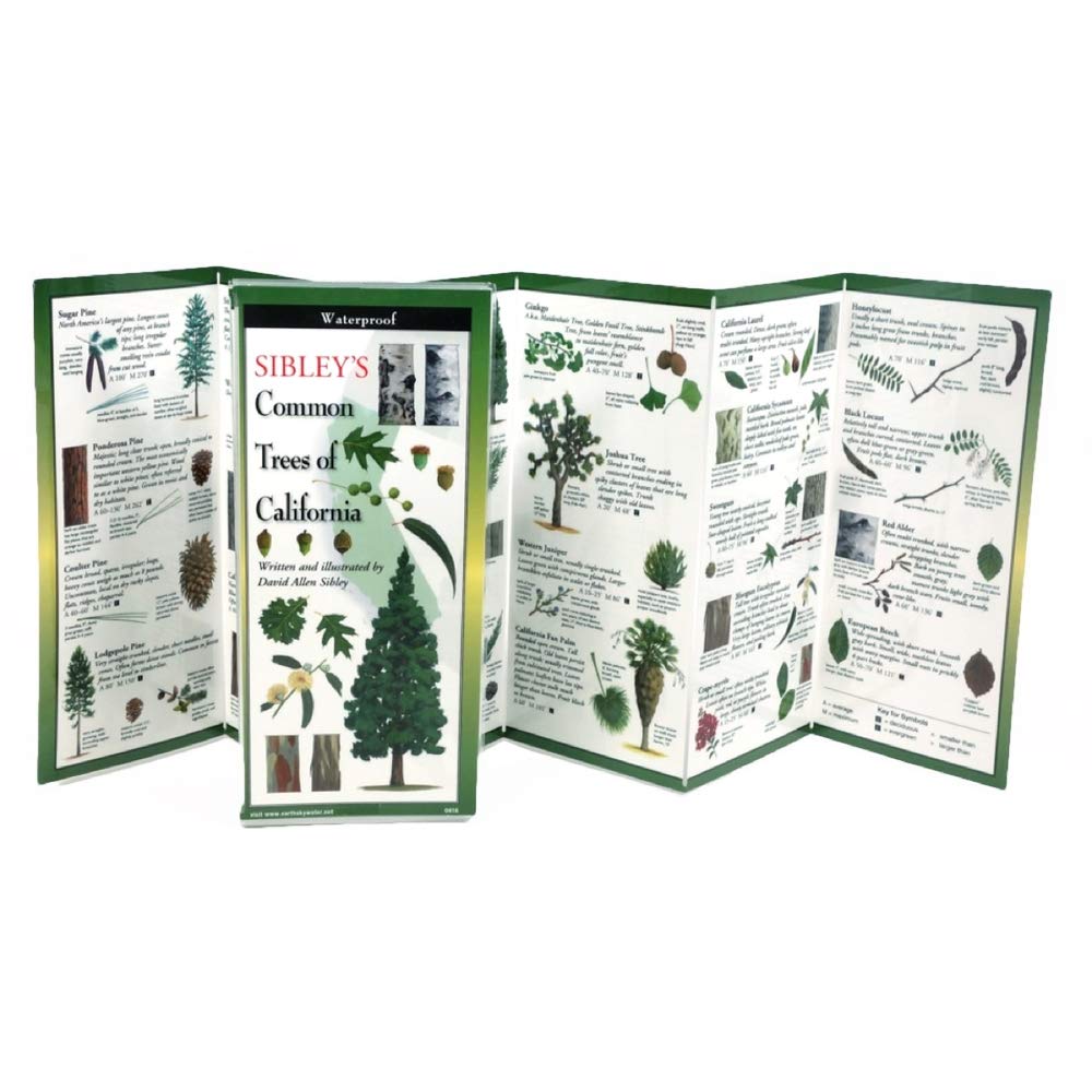 Sibley's Trees of California