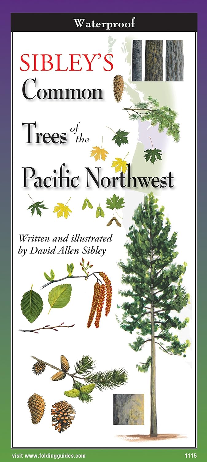 Sibley's Trees of Pacific Northwest