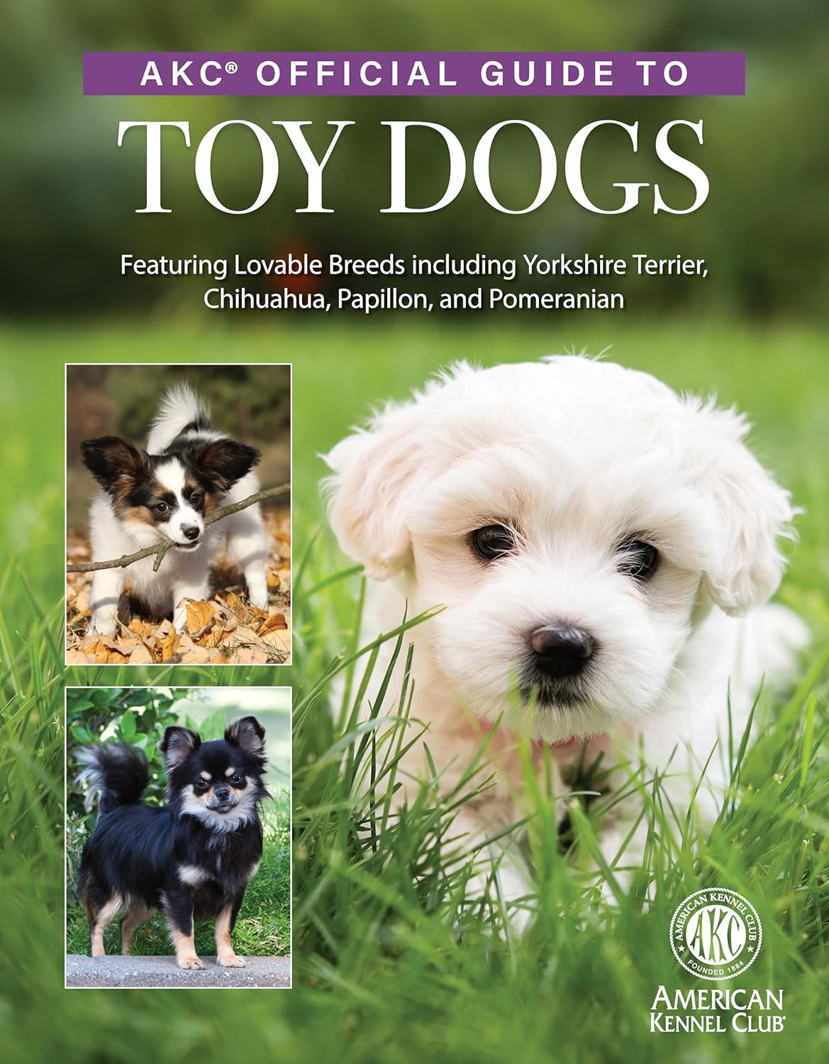 Akc Official Guide to Toy Dogs: Featuring Lovable Breeds Including Yorkshire Terrier, Chihuahua, Papillon, and Pomeranian