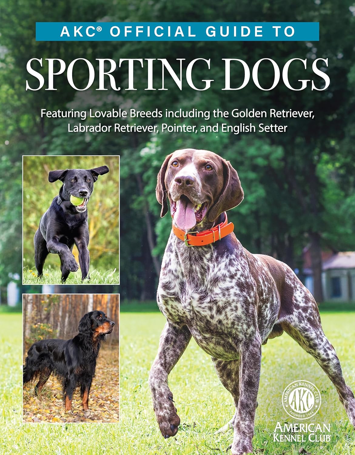 Akc Official Guide to Sporting Dogs: Featuring Lovable Breeds Including the Golden Retriever, Labrador Retriever, Pointer, and English Setter