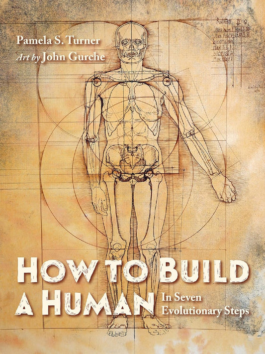 How to Build a Human: In Seven Evolutionary Steps
