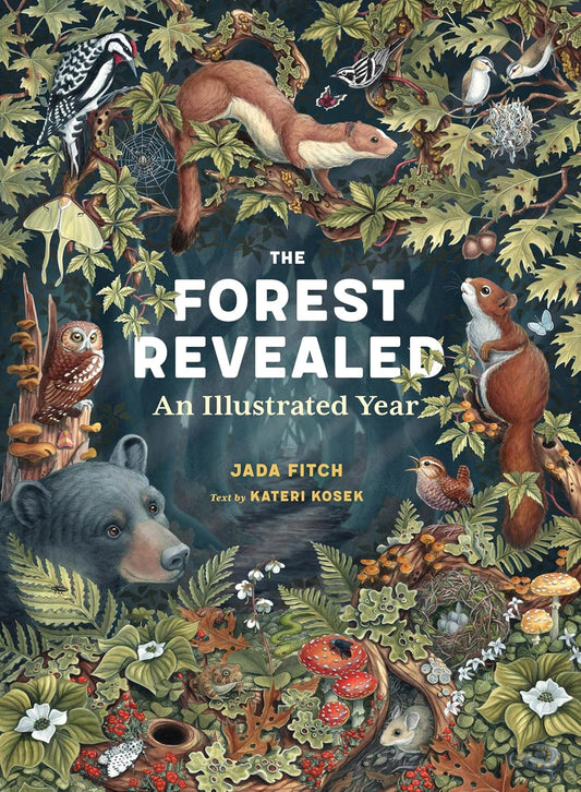 Forest Revealed: An Illustrated Year