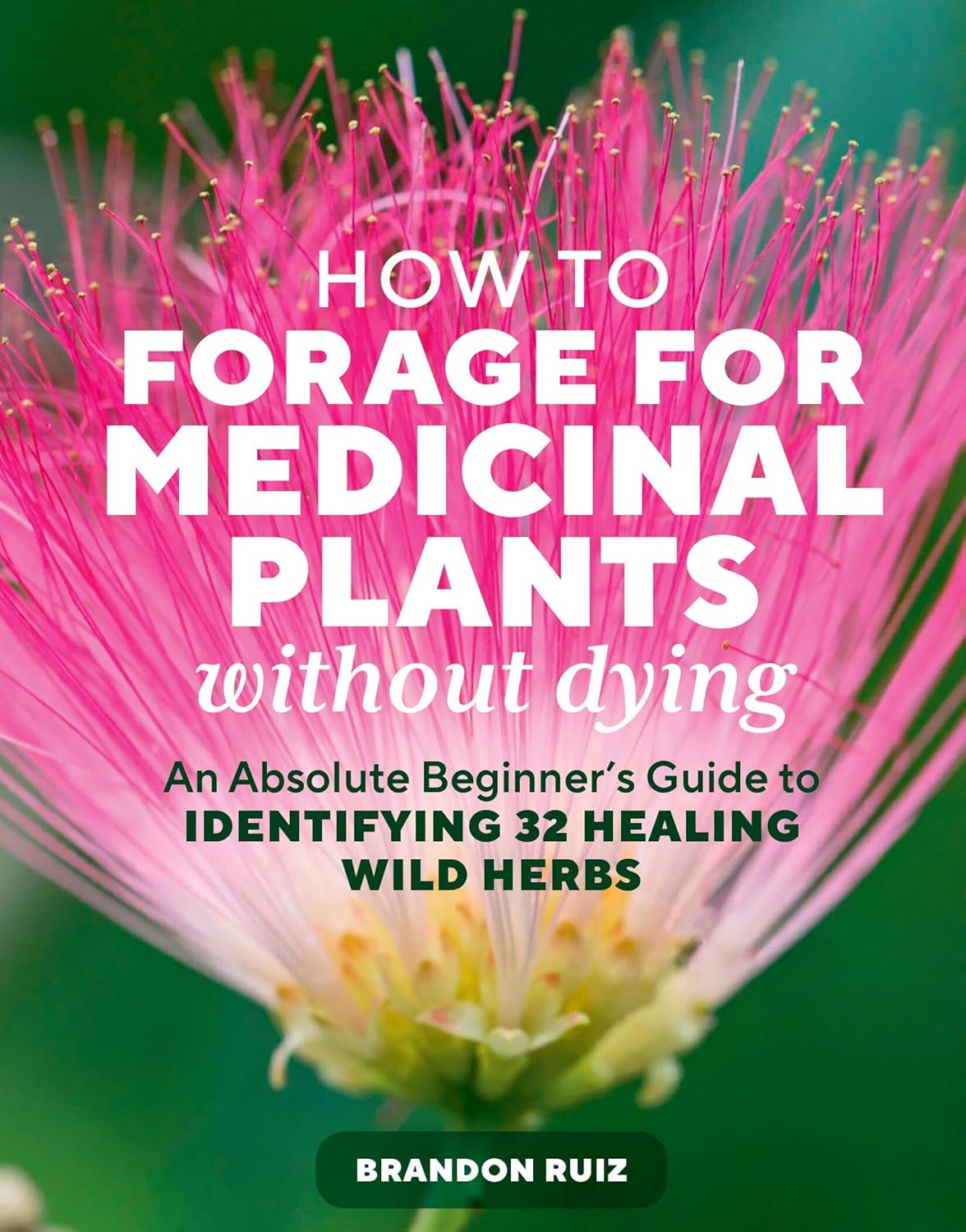 How to Forage for Medicinal Plants Without Dying: An Absolute Beginner's Guide to Identifying 32 Healing Wild Herbs
