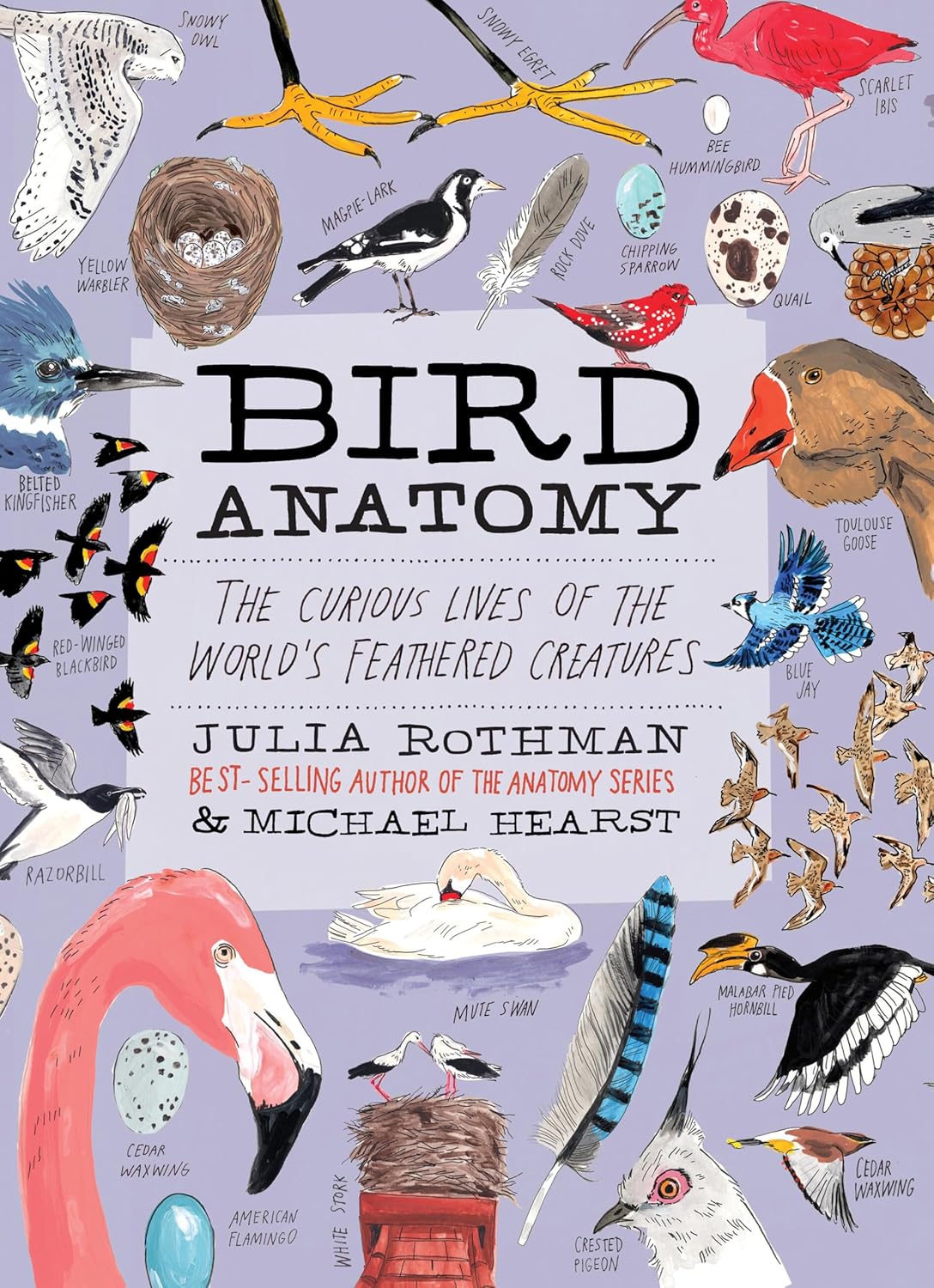 Bird Anatomy: The Curious Lives of the World's Feathered Creatures